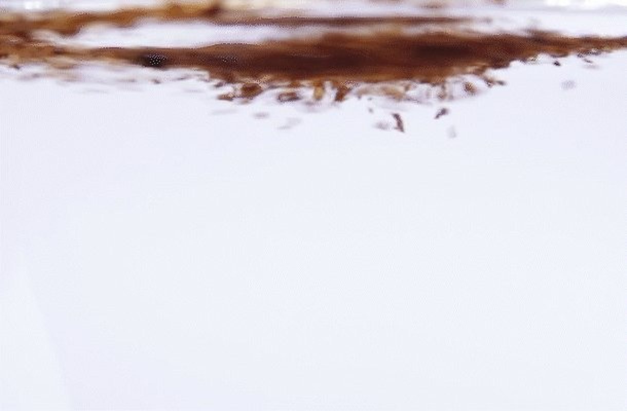 水に落ちたパウダーが、溶けていく